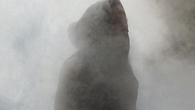 عودة غامضة لاهم نجوم عرض سماك داون الاخير