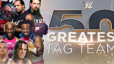 من الفريق الذى حصل على لقب اعظم فرق WWE