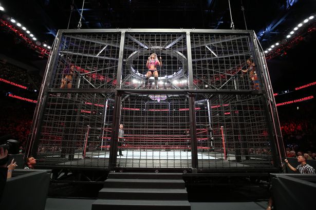 عودة مفاجأة لاهم النجوم فى اليمنيشن تشامبر 2022