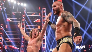 عودة اهم النجوم فى عرض الرو القادم وإقامة احتفال كبير