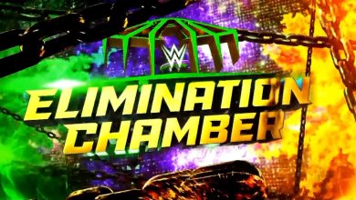 أول الأخبار الرسمية لعرض الينميشن تشامبيونز 2024