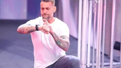 رسميا سى إم بانك يعلن عن جدول مشاركته فى عروض الرو للعام الجديد