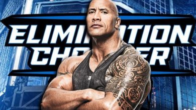 هل سيشارك الأسطورة ذا روك مهرجان اليمنيشن تشامبر 2024 ؟