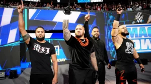 إنضمام محتمل لأهم نجوم عرض الرو لفريق ذا بلودلاين فى سيرفايفر سيريس 2024