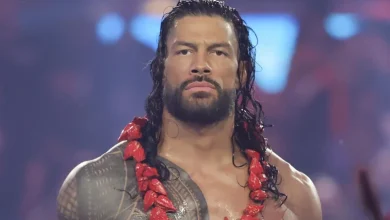 نجوم المصارعة الحرة يدخلون عالم السينما بجانب رومان رينز وكودى رودز