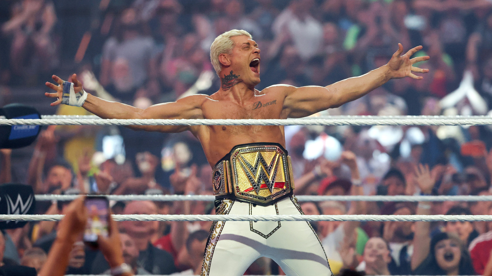 مفاجأة مدوية: كودي رودز يدافع عن لقب WWE في نزال ثلاثي مثير بـ Night of Champions!