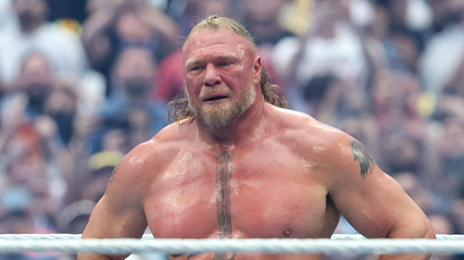 تقارير تكشف: هل يودع بروك ليسنر حلبات WWE بعد سمر سلام أم يستمر حتى راسلمينيا؟