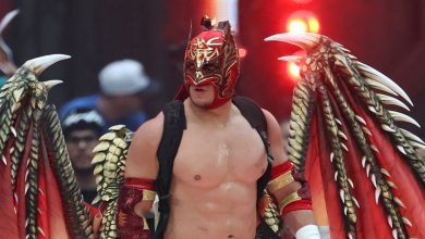 تطورات هامة حول مستقبل دراجون لي مع WWE وعرض إن إكس تي