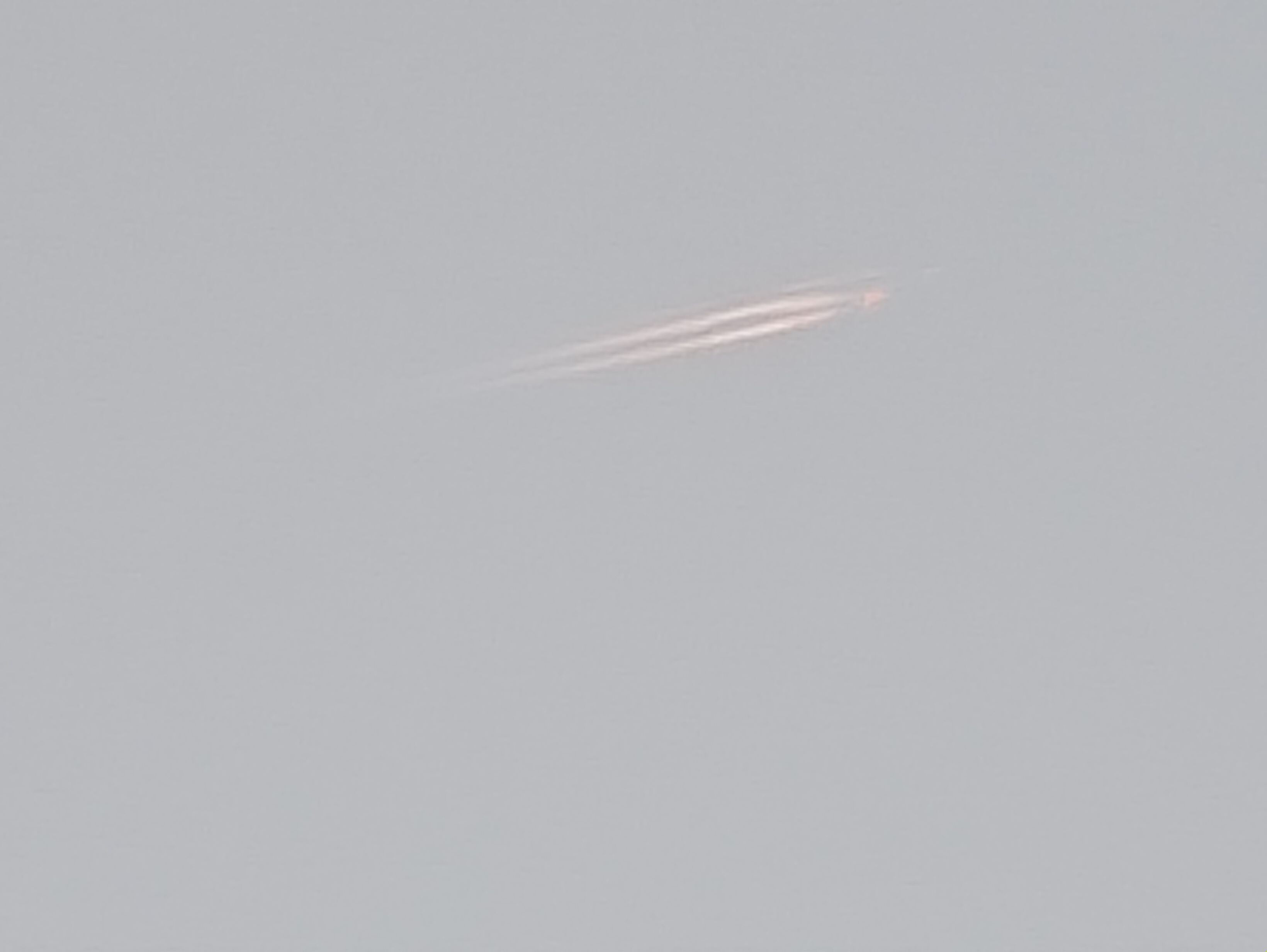 صورة صاحب التعليق