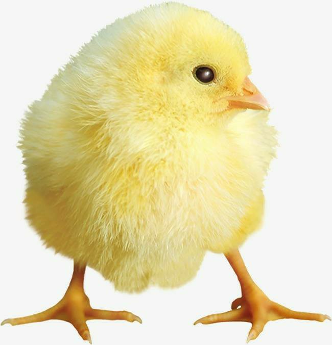 صورة صاحب التعليق